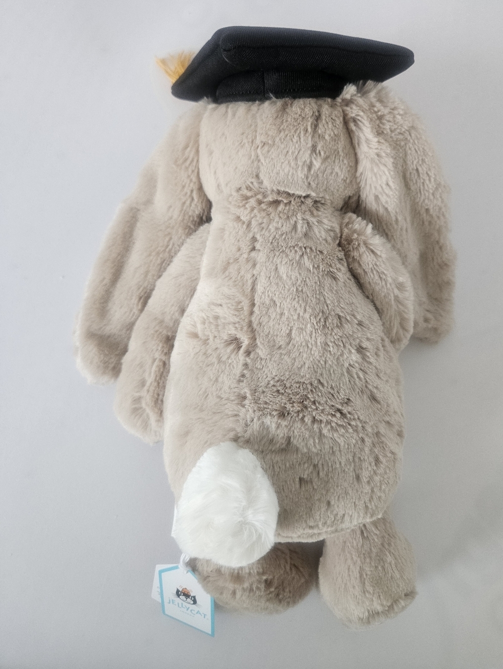 Graduation Bunny - Picture 2 of 3